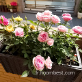 Boîte à palettes de plantation de fleurs pour balcon de jardin